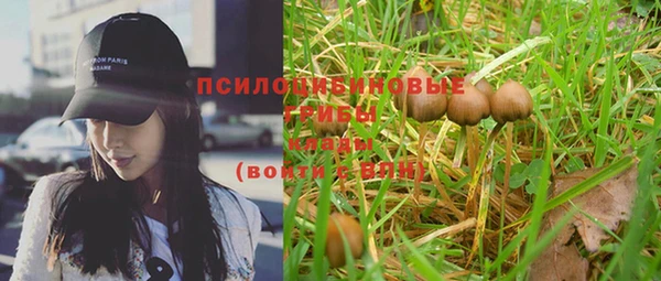 spice Алексеевка