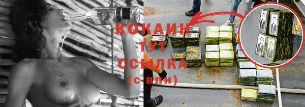 спайс Алексин
