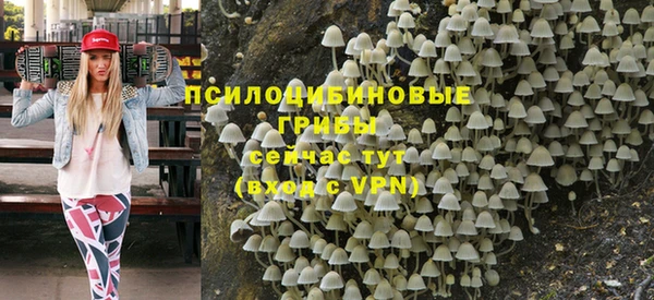 спайс Алексин