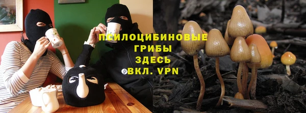 спайс Алексин