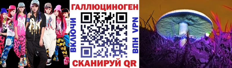 мега вход  Западная Двина  Псилоцибиновые грибы Cubensis 